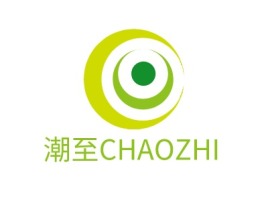 潮至CHAOZHI企业标志设计