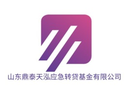 山东鼎泰天泓应急转贷基金有限公司金融公司logo设计