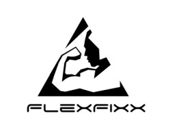 浙江FlexFixxlogo标志设计