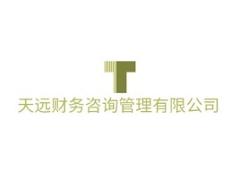 天远财务咨询管理有限公司公司logo设计