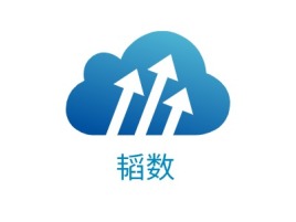 韬数公司logo设计
