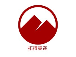 拓搏睿迩logo标志设计
