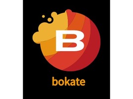 bokate公司logo設(shè)計(jì)