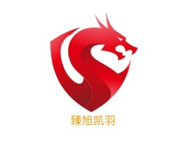 臻旭凯羽公司logo设计