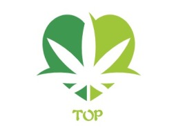 TOP品牌logo设计