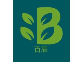 百辰公司logo设计