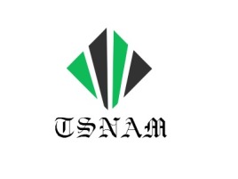 TSNAM公司logo设计
