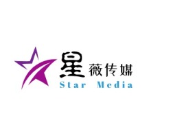 Star  Medialogo标志设计