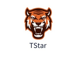 北京TStarlogo标志设计
