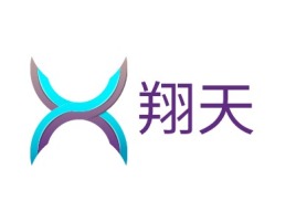 翔天公司logo设计