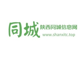 陕西同城信息网公司logo设计