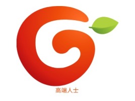 高端人士公司logo设计