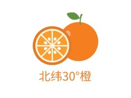 北纬30°橙品牌logo设计