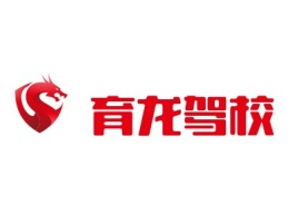 陕西育龙驾校公司logo设计