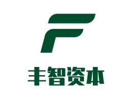 山东丰智资本金融公司logo设计
