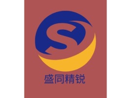 广东盛同精锐企业标志设计