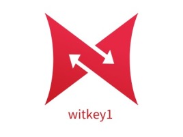 广东witkey1公司logo设计