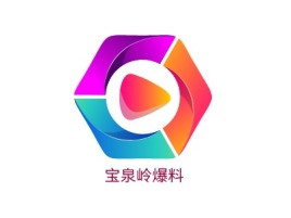 黑龙江宝泉岭爆料logo标志设计