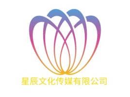 星辰文化传媒有限公司logo标志设计