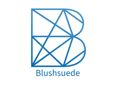 Blushsuedelogo标志设计