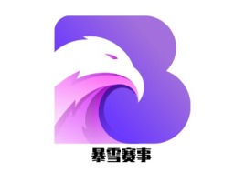 甘肃暴雪赛事logo标志设计