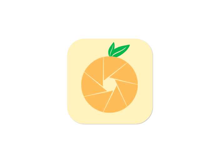 橘子水果简约创意app图标标志LOGO设计