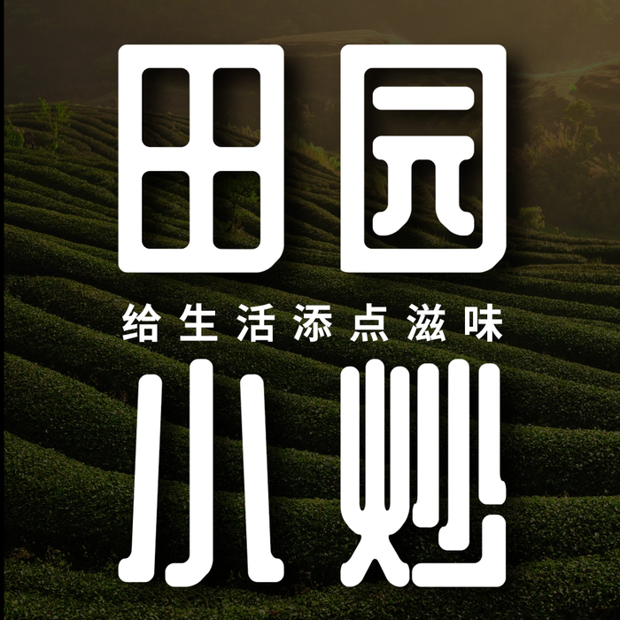 簡(jiǎn)約  入口圖