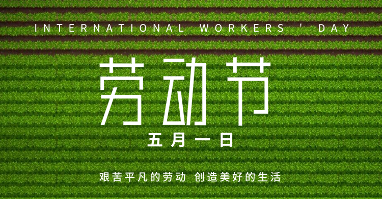 綠色簡約五一勞動節橫版海報banner設計