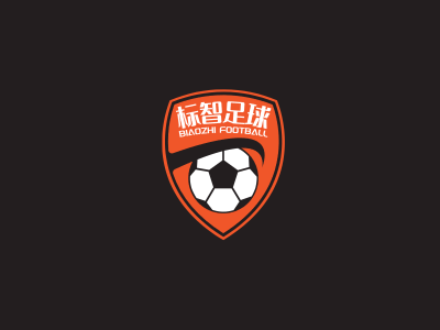 创意徽章足球logo设计