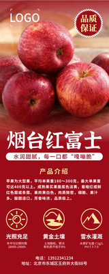 红色简约产品介绍长图手机海报