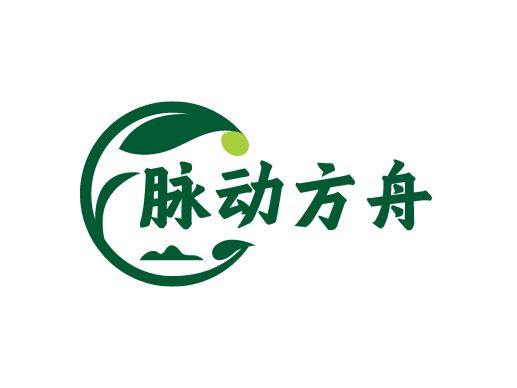脉动方舟中医logo设计