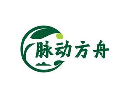 脉动方舟中医logo设计