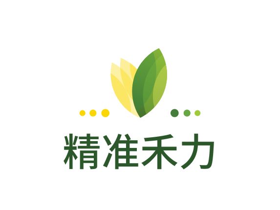 精准禾力公司logo设计