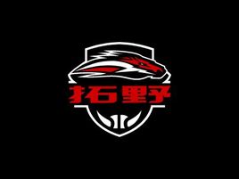 拓野活动logo设计
