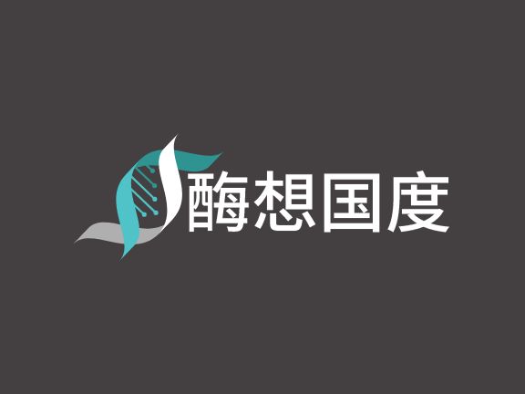 ‌‌酶想国度公司logo设计