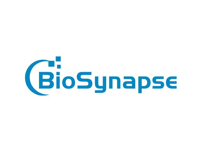 BioSynapse公司logo设计