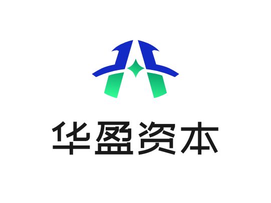 华盈资本金融公司logo设计