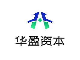 华盈资本金融公司logo设计