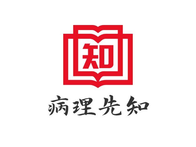 病理先知LOGO设计