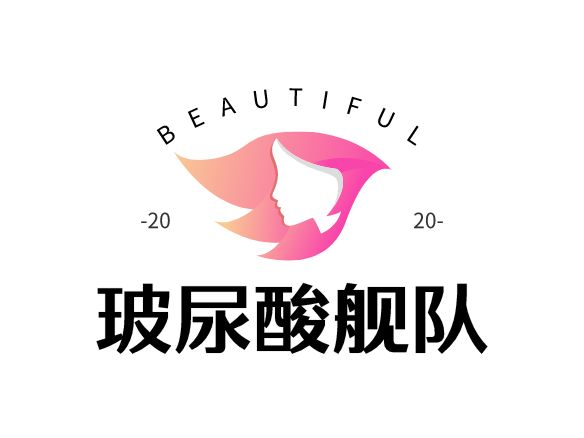 玻尿酸舰队logo设计