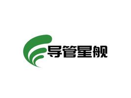 导管星舰