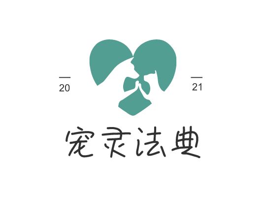 宠灵法典LOGO设计