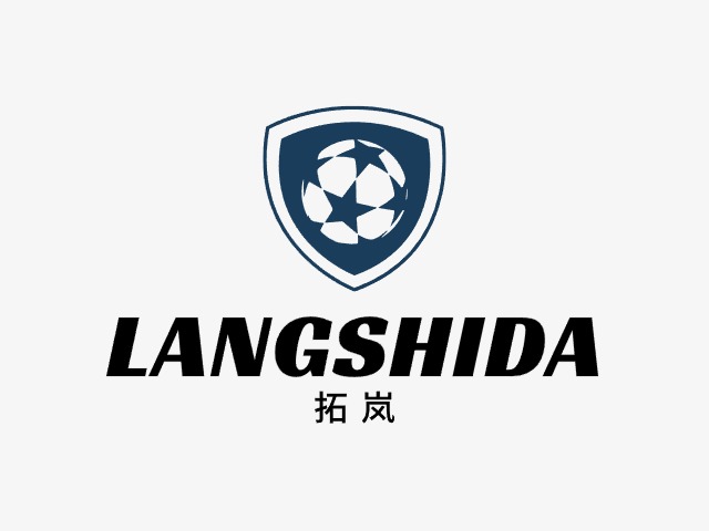 拓嵐LOGO設(shè)計(jì)