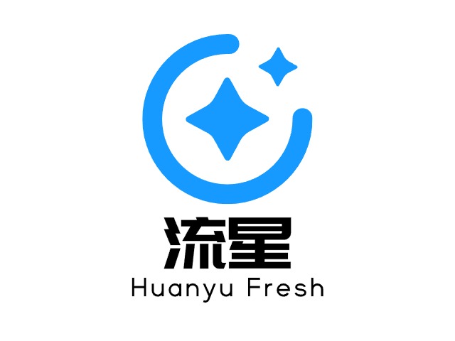 流星公司logo設計