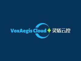 灵盾云控公司logo设计